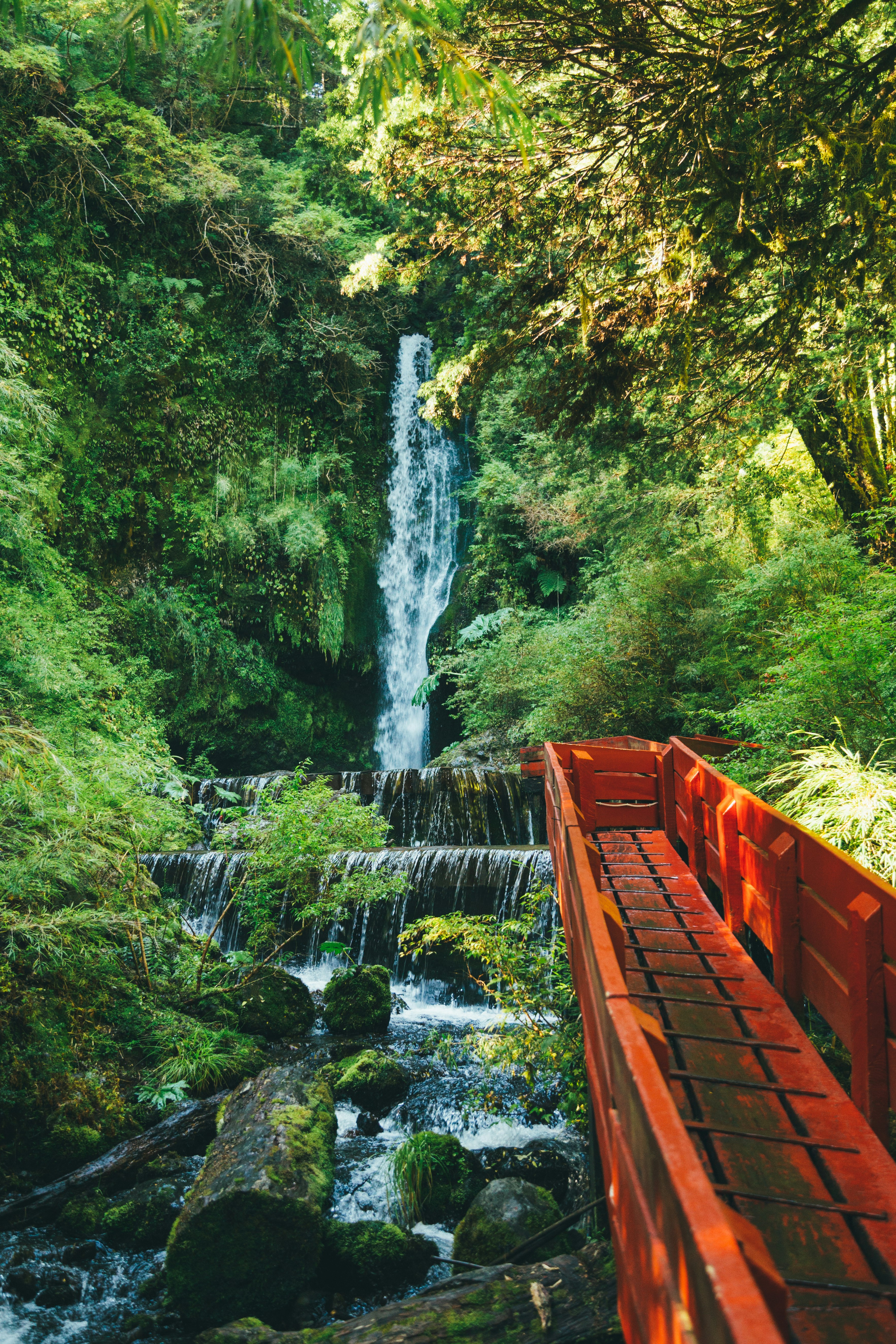 brown wooden bridge near water falls